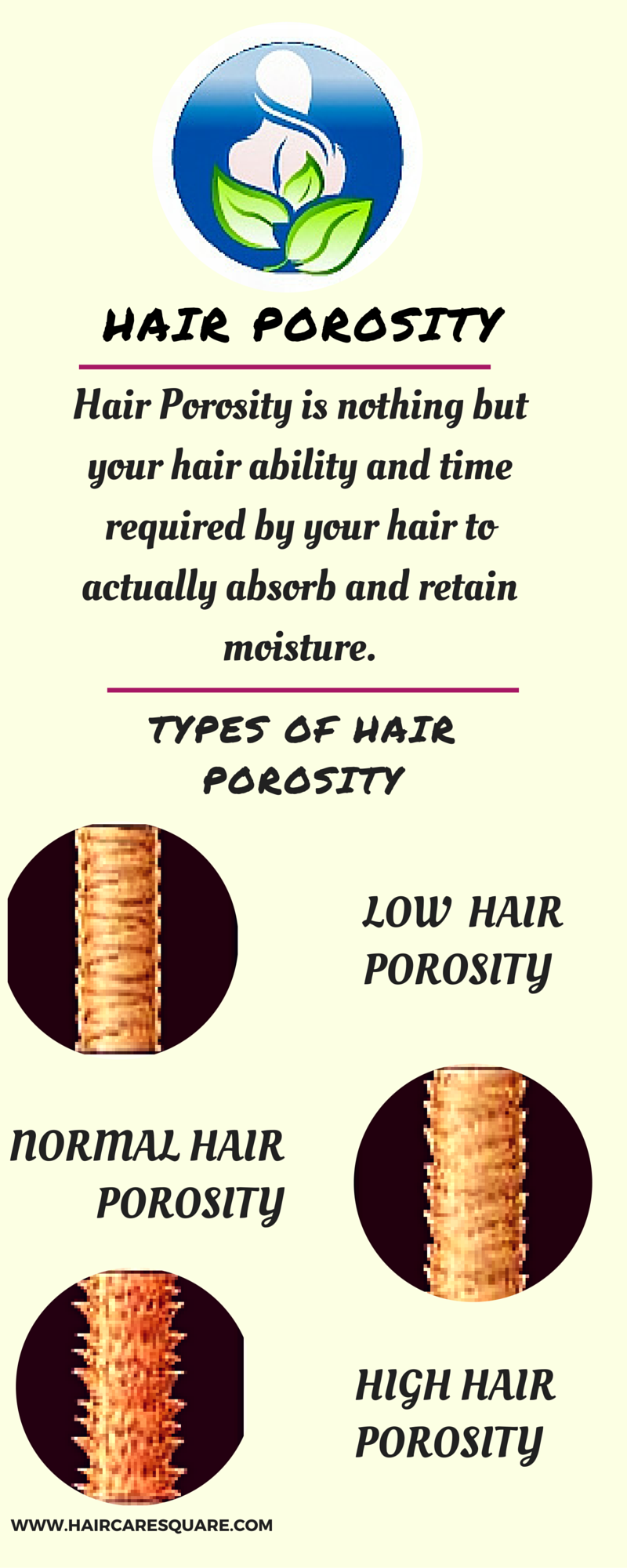 Hair Porosity and its types