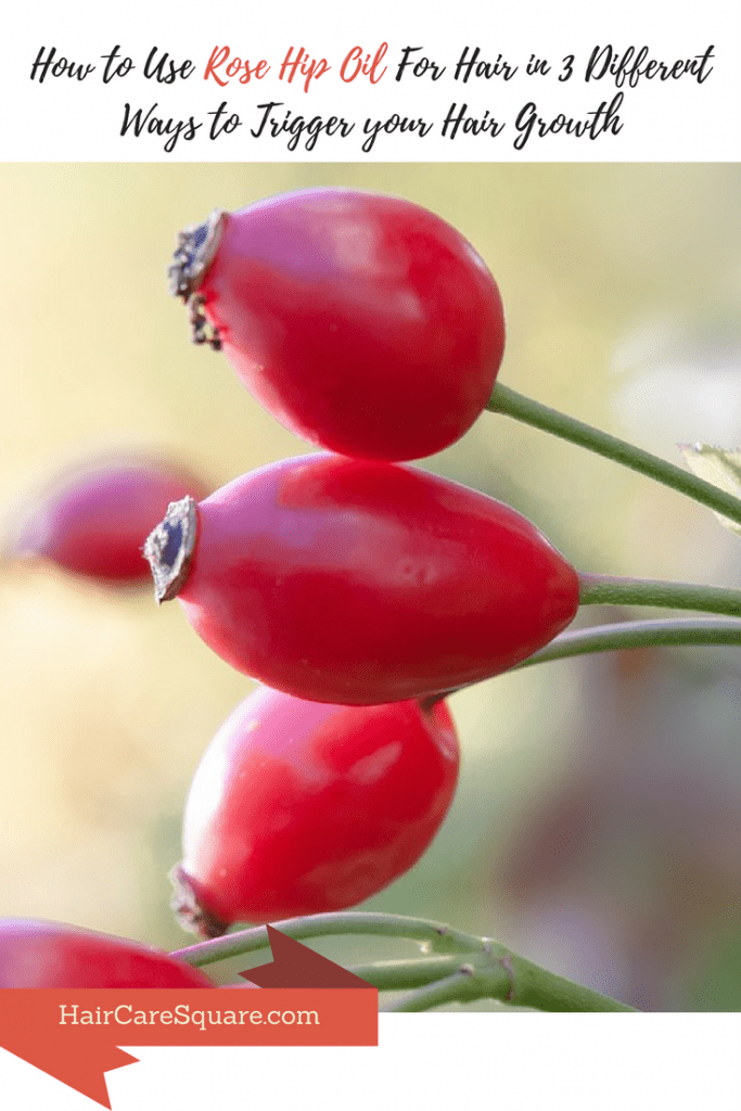 Benefis of rosehip oil for hair