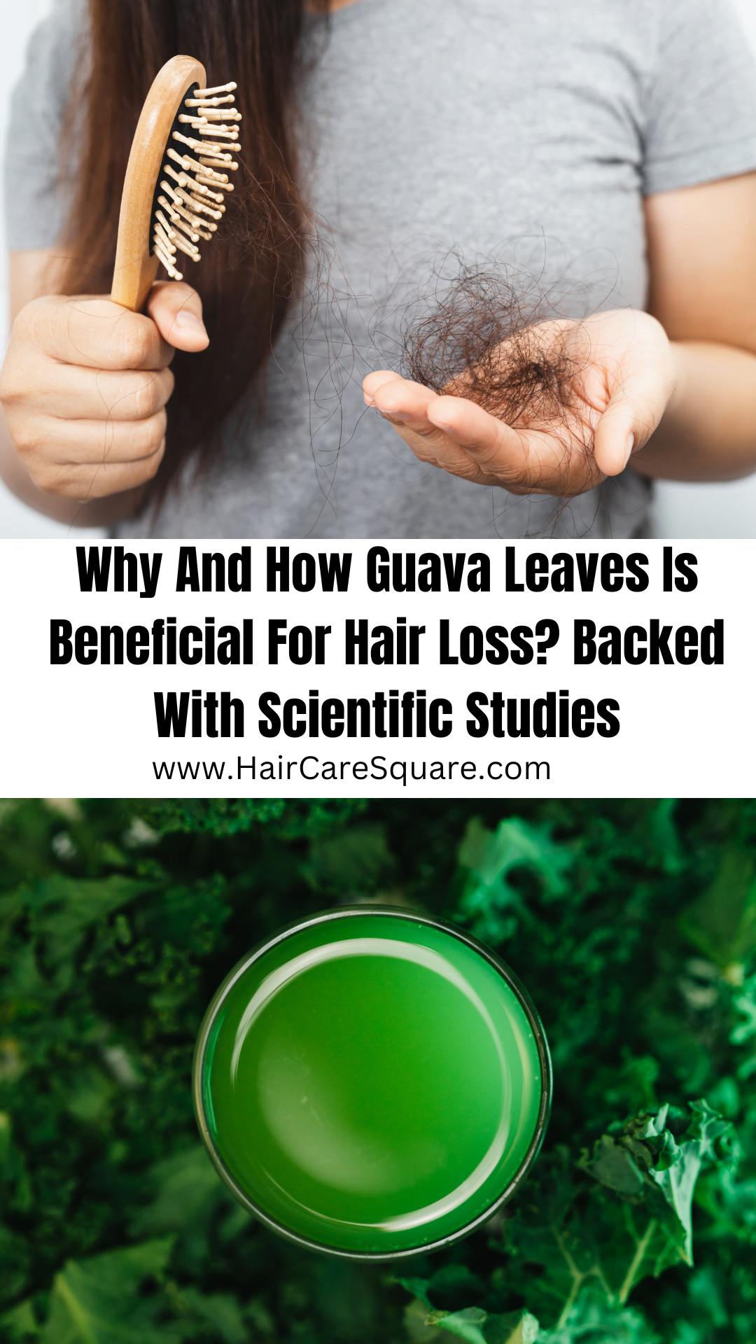 benefits of guava leaves for hair loss
