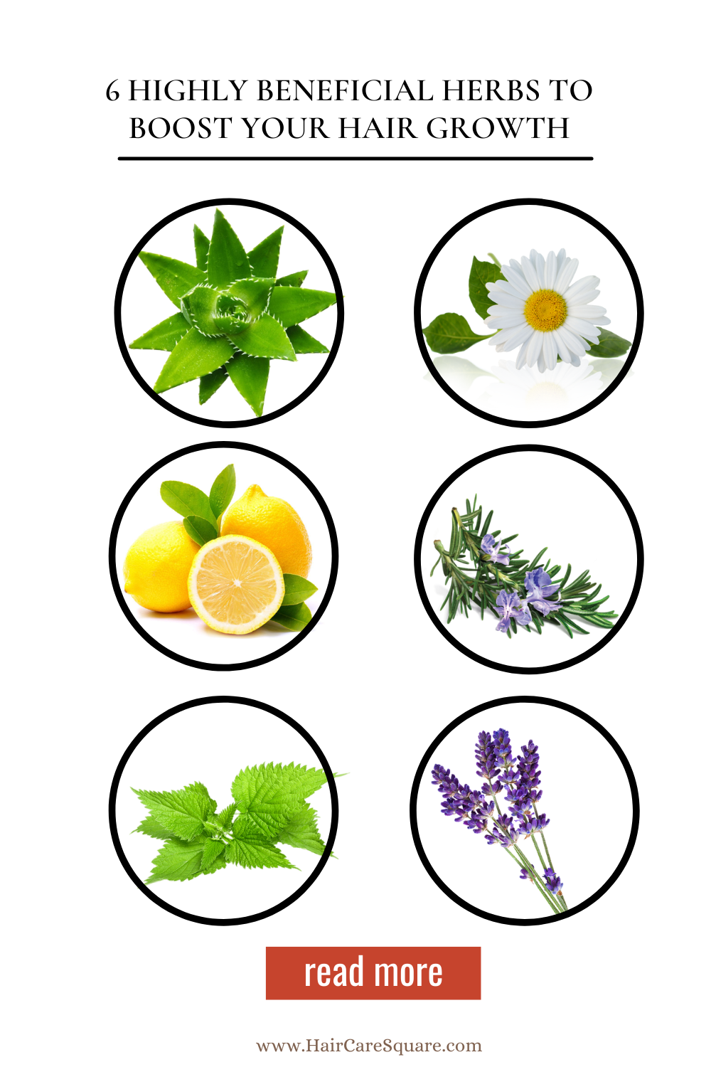 best ayurvedic herbs for hair growth