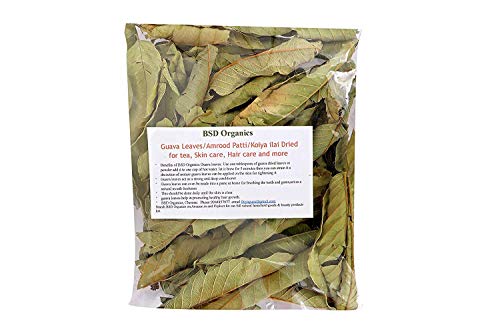 Bsd Organics Dried Leaves of Guava Leaves/Amrood Patti/Koiya ilai for tea (100 Gram / 3.5 Ounce)