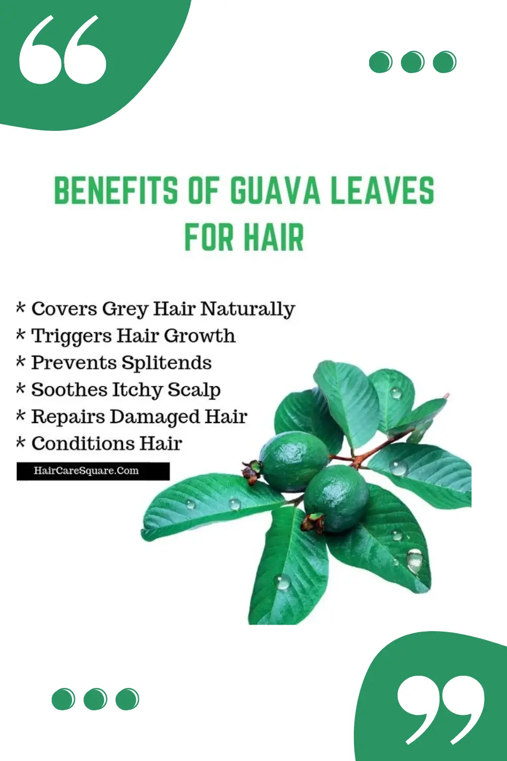 benefits of guava leaves for hair and scalp explained with infographic